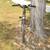 🚲 TREK 800 Antelope Mountain Bike 🚲 3 thumbnail