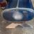 EMERGENCY LIGHT FEDERAL SIGNAL 24EAH AERODYNIC BLUE/RED 3.5 panel 19 thumbnail