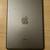 iPad mini2 32GB Gray 2 thumbnail