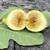 Yellow Long Neck Fig tree 1 thumbnail