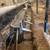 HOME IMPROVEMENT SERVICE, REMODELING, DRYWALL,PAINTING, ,AND MORE. 22 thumbnail