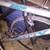 Shimano 21 speed Motiv mountain bike, good tires, new seat 4 thumbnail