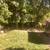 1 cherry tree and 4 maple tree logs 1 thumbnail