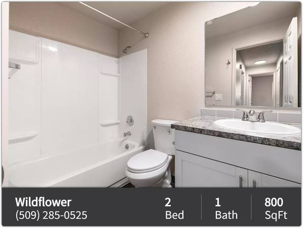 $1,586 / 2br - 800ft2 - 2 Bed / 1 Bath. We welcome your pets! Ask about our pet policy! (Kennewick)63662925954179120