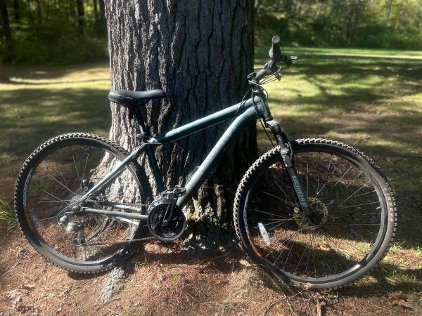 Mongoose Mountain Bike 1