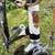 1961 Rudge 3 speed.  56cm very nice condition.  Brooks leather 3 thumbnail