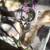 Wicked ridge 10 pt crossbow and kids pse bow 6 thumbnail
