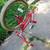 Vintage BMX Tech Free Spirit Street Runner Bmx Bike Sears Roebuck 7 thumbnail
