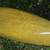Walden Sports Kayak 2 thumbnail