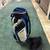 Golf Bags 1 thumbnail