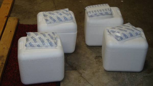 Styrofoam coolers  update 1