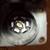 1999-04 Jeep Grand Cherokee WJ trailer Harness 3 thumbnail