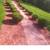 Mulch 🌺🌸🌵 Rock🪨 dirt🌿🌱🌻🌺🌸 delivered and installed 19 thumbnail