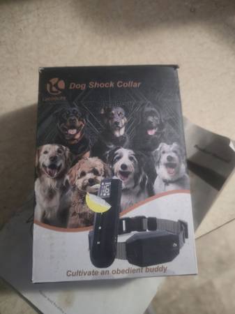 Dog collar 1