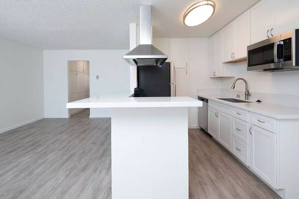 $2,495 / 1br - 601ft2 - A picture is worth a thousand words! Check this 1 bed 1 bath out! (Carlsbad)63998602996611122