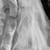 New Wedding Dress 6 thumbnail