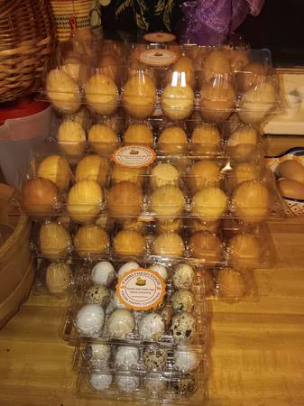 Farm Fresh Eggs Chicken Quail Duck 1