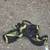 Climbing gear for sale $1,800 OBO 10 thumbnail