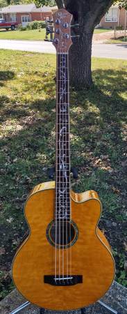Michael Kelley 5string Dragonfly acoustic/electric bass in great shape 1