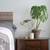 Reclaimed Wood PLANKS Accent Wall Raw Edge 4 thumbnail