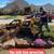 Stump Grinding and Tree Service 6 thumbnail
