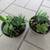 Pair Of Dark Gray Garden Pots With Succulents 2 thumbnail