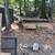Express Tree Service/ Bush/,Demolition/Junk Removal/ 10 thumbnail