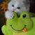 2months old kitten&315-372-8six63 1 thumbnail