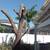 landscape service servicio de jardineria 13 thumbnail