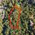 1.75 acres in Bay Area for $170,000....um, what? 3 thumbnail
