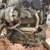 2006.5 VW TDI BRM Diesel engine  127k & DSG  transmission 3 thumbnail