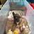 French bull dog toy 2 months male 4 thumbnail