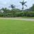 Manuel Landscaping 5 thumbnail