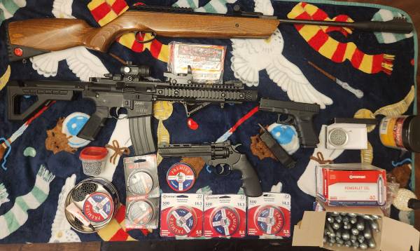 Pellet and BB guns All for one price! 1