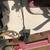 1995 Glastron SSV 175 15 thumbnail