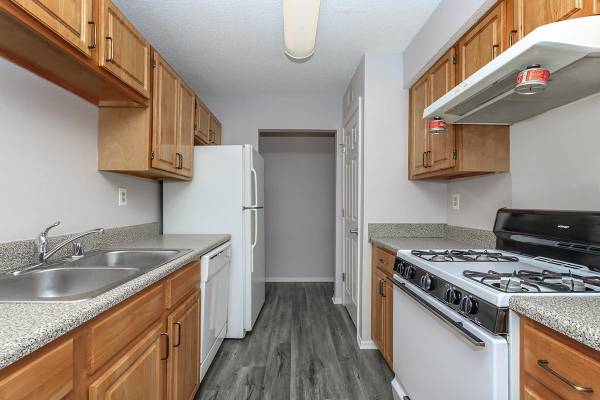 $1,194 / 3br - 1200ft2 - Generous Closet Space, Beautiful Clubhouse with Large Community Room (Wynnbrook Pines Apartments)64051689132930122