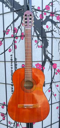 Westbrook Acoustic Classical Guitar 1