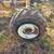 Tree squirrel pruning tower 3 thumbnail