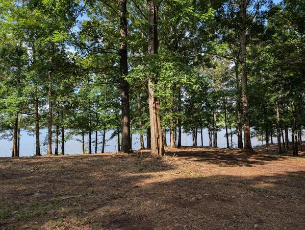 $134,900 Fantastic Lakefront Lot (Trenton, TN)63612419236355124