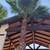 #LICENSED# PAINTING CONTRACTOR 14 thumbnail