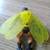 He Man Toys (Lot) 6 thumbnail