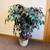 More Plant Stand (s) / Artificial Trees/Plants at Creative Bargains 20 thumbnail