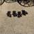 1928-31 Model A Ford Tudor Sedan Front Seat Frames & Springs (pair) 6 thumbnail