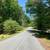 Nice, quiet, peaceful 1.24 Acre 7 thumbnail