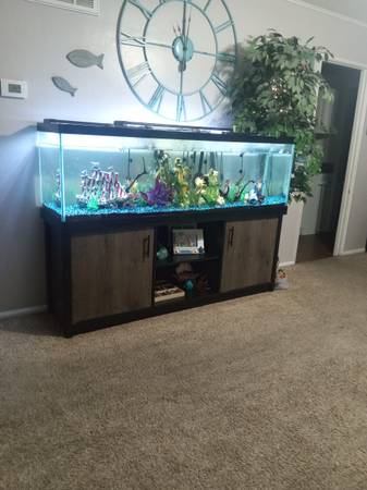 125 gallon fish aquarium 1