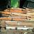 Hardwood flooring 2 5/16 expose less t and g by 3/4 thick. quite a bit 2 thumbnail
