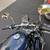 Harley Davidson Sportster 1200 2 thumbnail