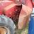 IH 303 Combine 7 thumbnail