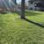 Commercial 🍂🍁residential 🍂🍁 fall clean up 🍂🍁 leaf removal 15 thumbnail