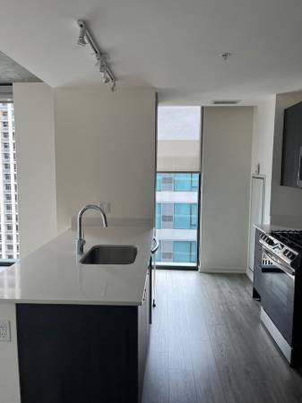 $3,000 / 2br - 1150ft2 - South Loop 2 bed with in unit washer/dryer, hw floors, ss appli (South Loop)63898984777986123